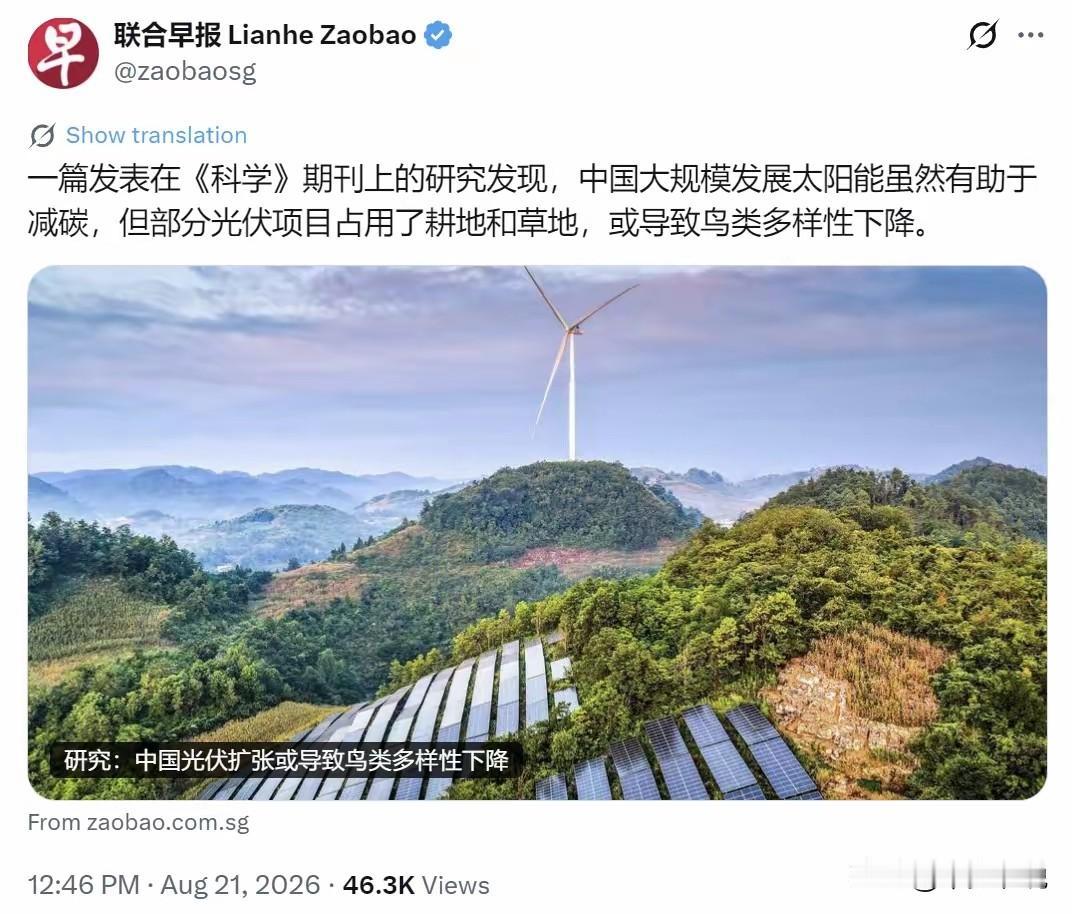 同样的问题，新加坡码头那么多船是否影响了鱼类多样性？新加坡联合早报最擅长的就是