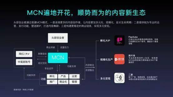 收入证明_2018年视频网站收入(2)