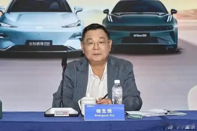 吉利总裁桂生悦：“明年就开始大浪淘沙，没盈利能力根本活不下去！”当时还觉得是不