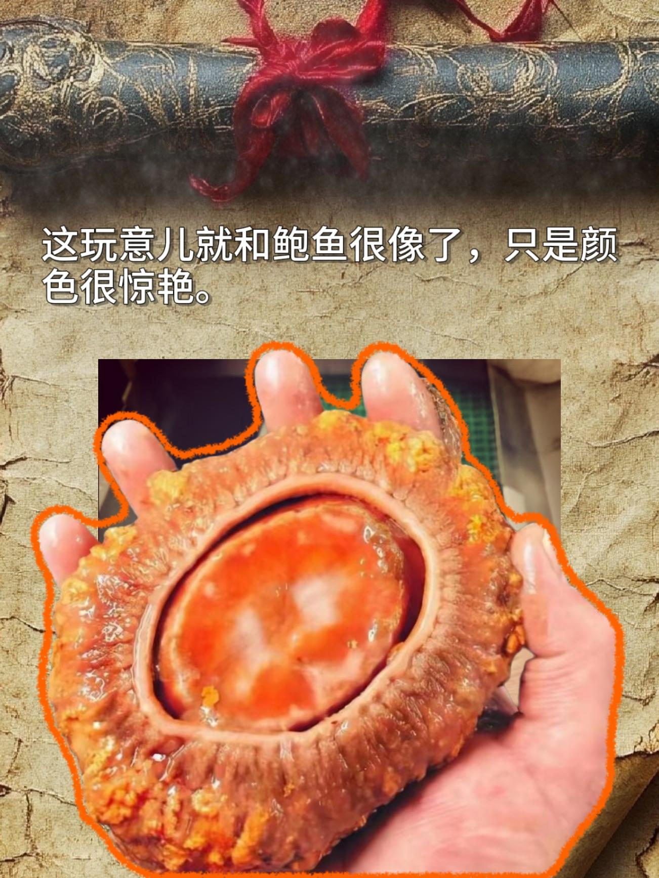 有人知道这是什么吗？跟鲍鱼很像的只是颜色鲜艳