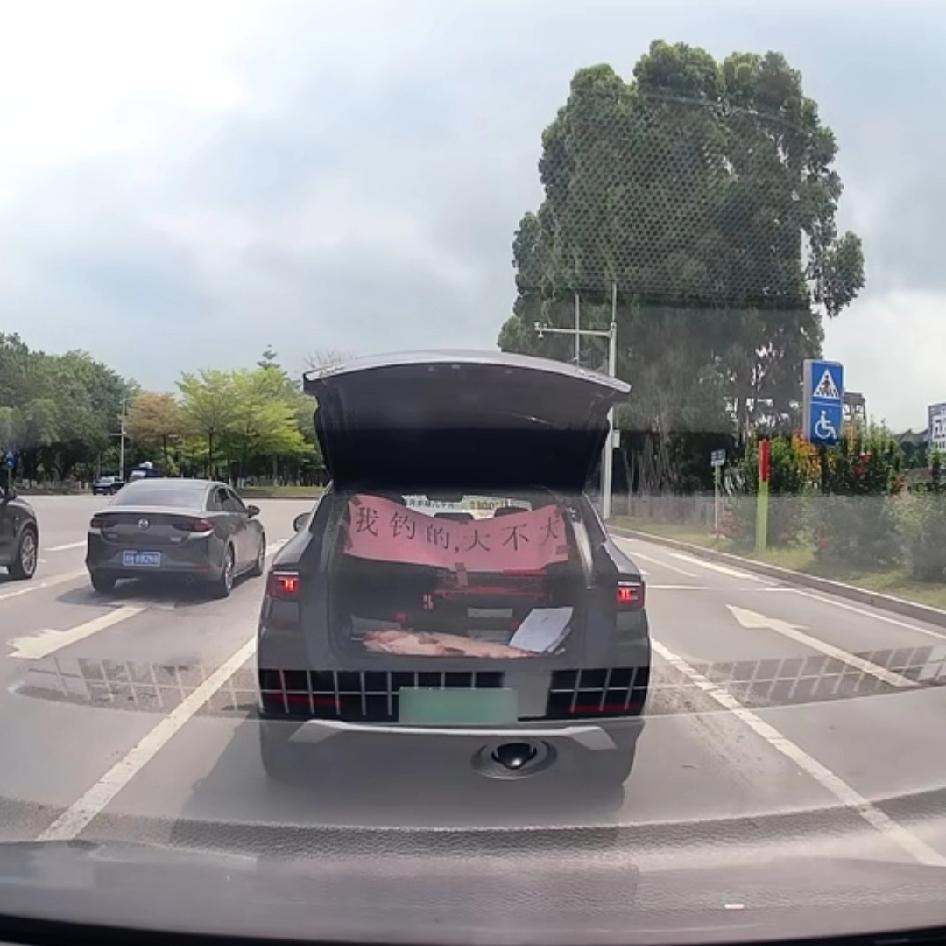 钓鱼佬看你还嘚瑟不嘚瑟！出息了哥们，刚刚才在央视刷到你！咦，连鱼都叹了叹气，这