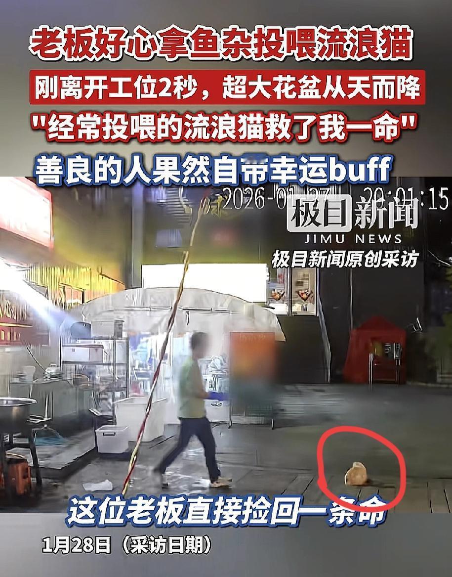 好心喂流浪猫，竟意外避祸。27号晚，贵阳一烤鱼店老板正在店门口杀鱼，看见
