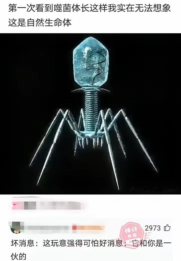 确实，第一次看的时候不相信这个是自然生命体[笑着哭]