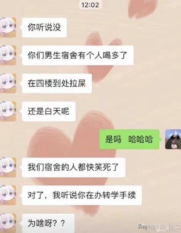 哪壶不开提哪壶​​​