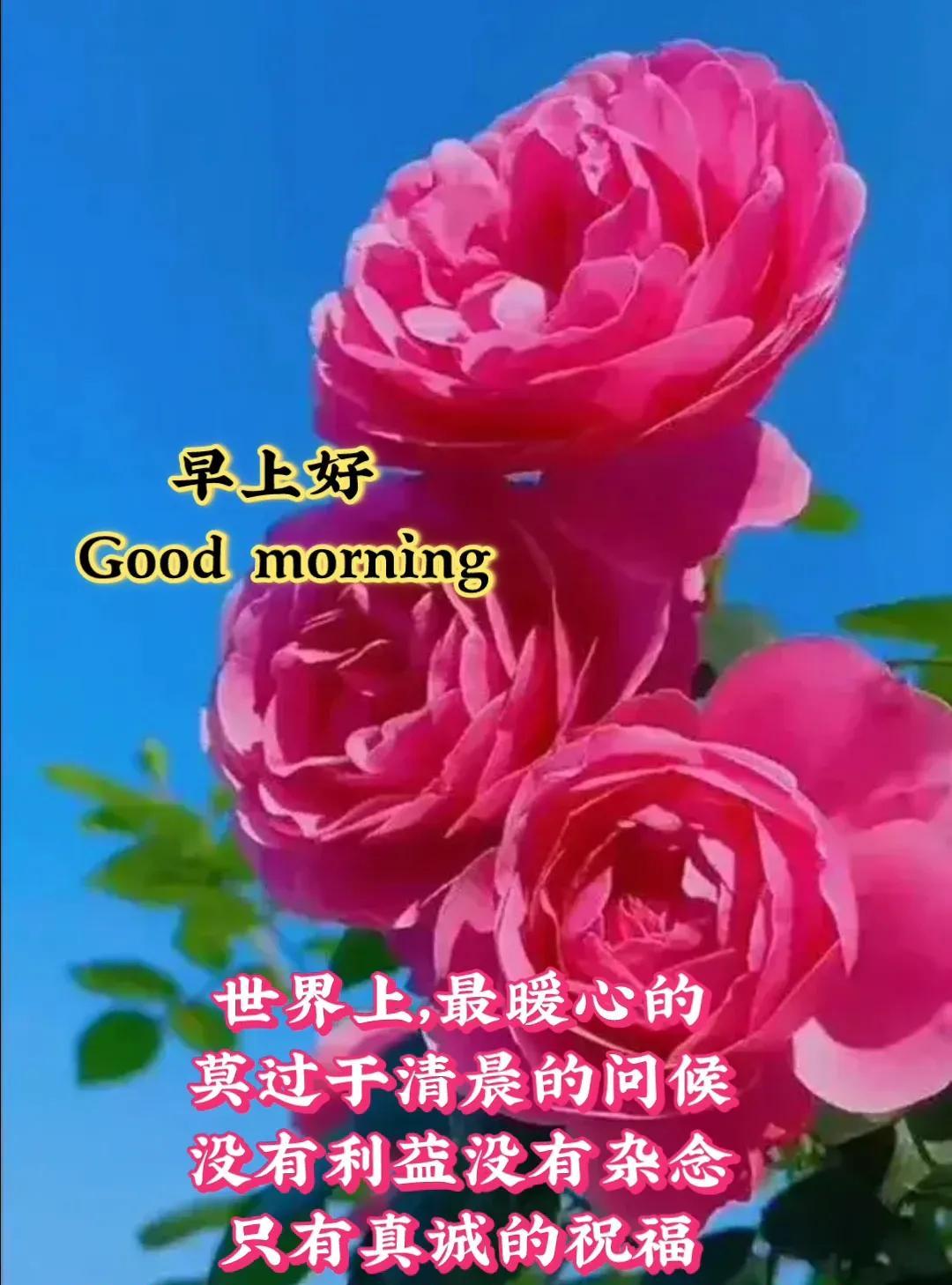 [玫瑰]早上好[玫瑰]世界上，最暖心的莫过于清晨的问候没有利益没有杂念只