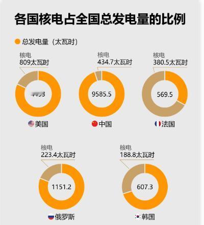 中国—全球核电领域领军者。