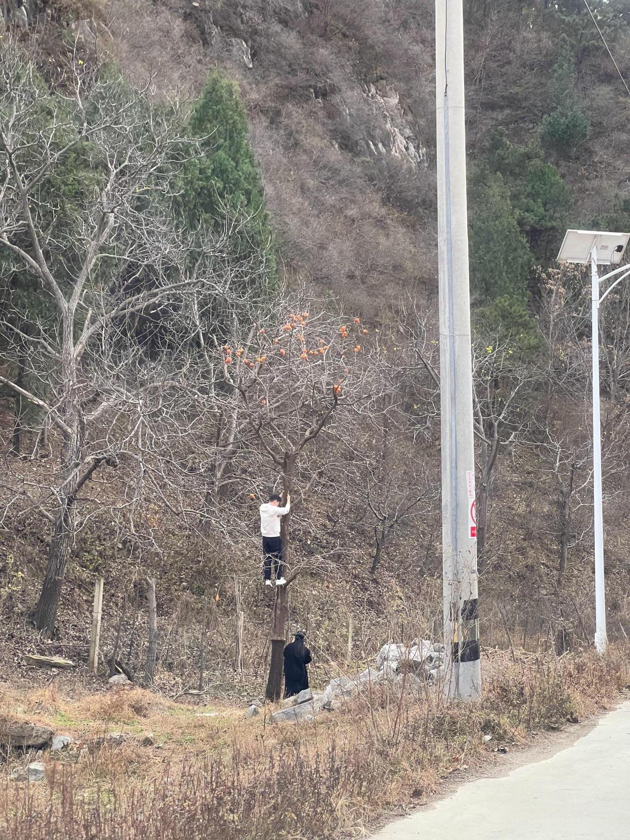 这位大哥干了我一直想干的事儿