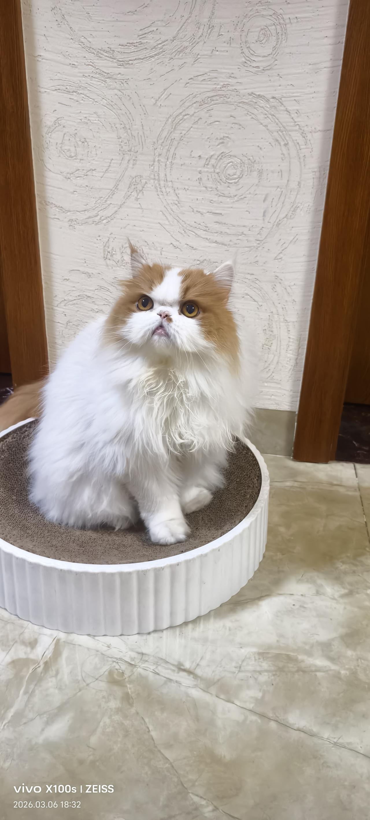 小孩是自己带，还是交给爷爷奶奶带？以前我觉得，让爷爷奶奶带也没什么问题。但今天在