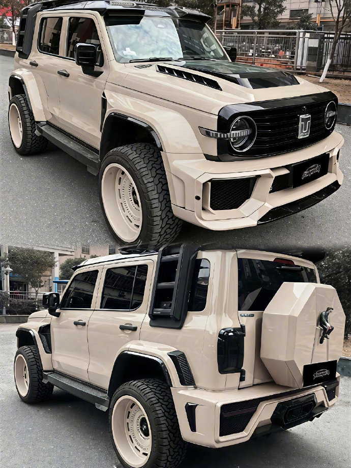 要说国产硬派越野里颜值的天花板，那非坦克300莫属啦！它身上的肌肉线条那叫一