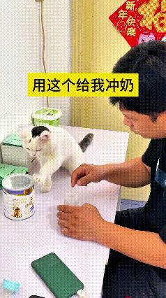 我看了好几遍这个视频，越看越稀罕🥰乖乖嘞这小猫也太灵性了，小手摸着奶粉罐、又