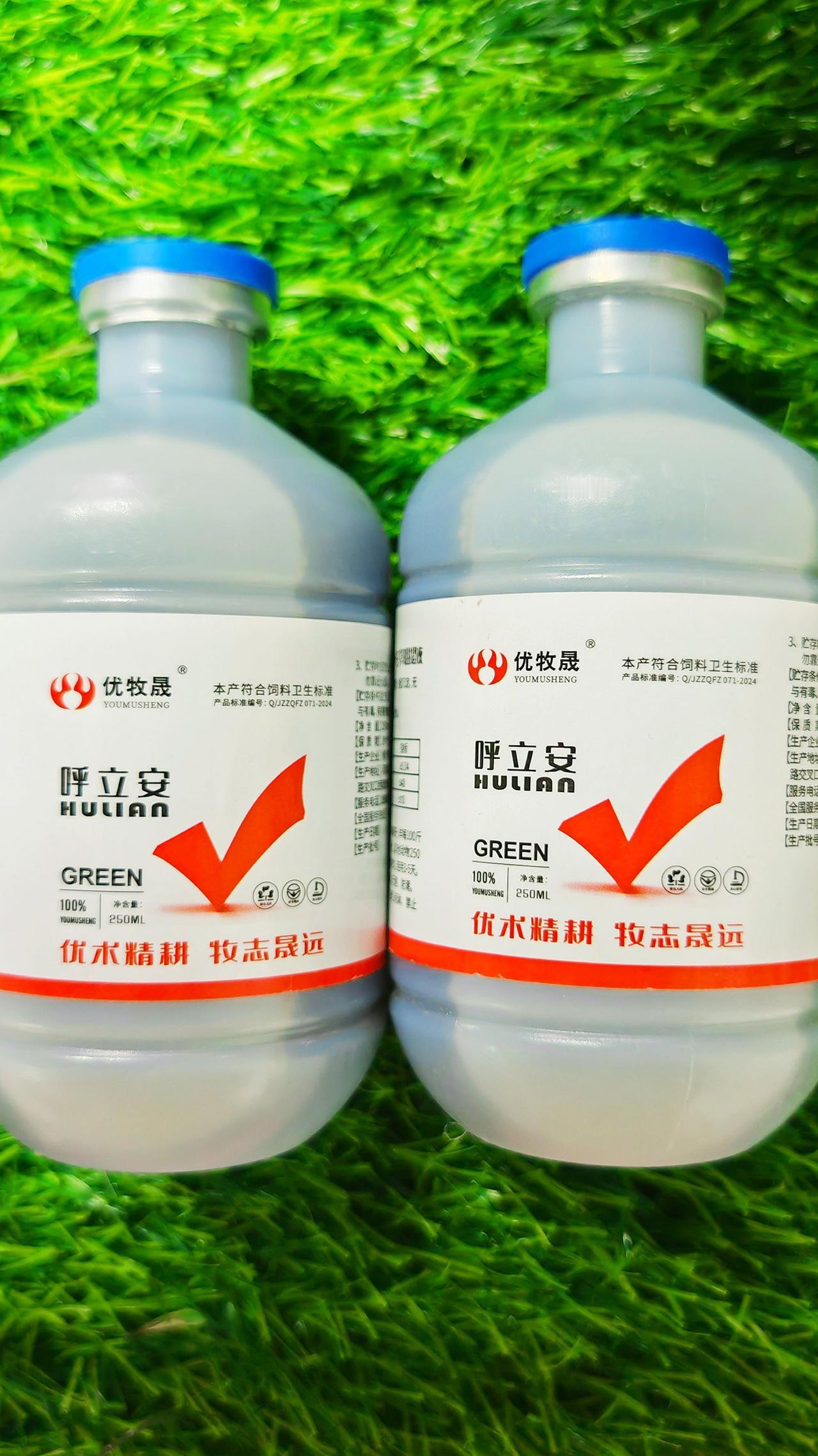 养羊人牛羊咳喘农村养羊