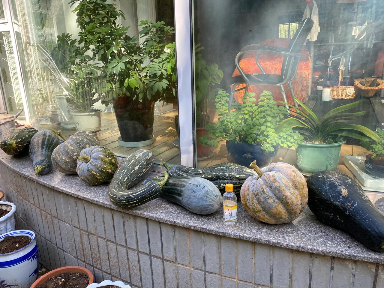 我觉得你这样做很对～自己家产的瓜果蔬菜，如果能换钱，就赶快把它卖了，这应该是首选