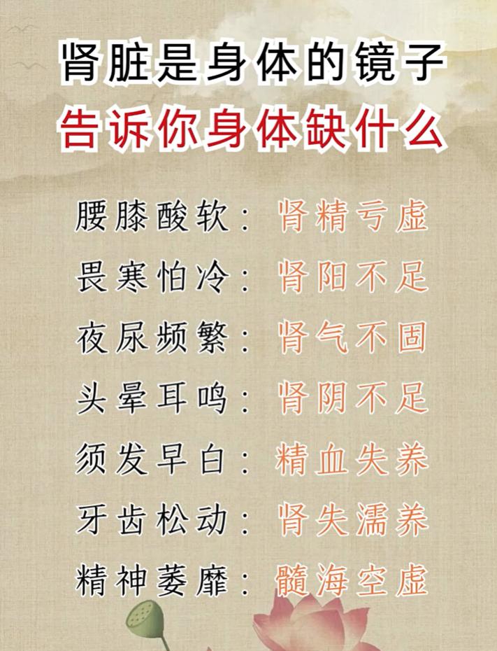 从身体症状看肾脏状态，一张表分清肾精、肾阳亏虚