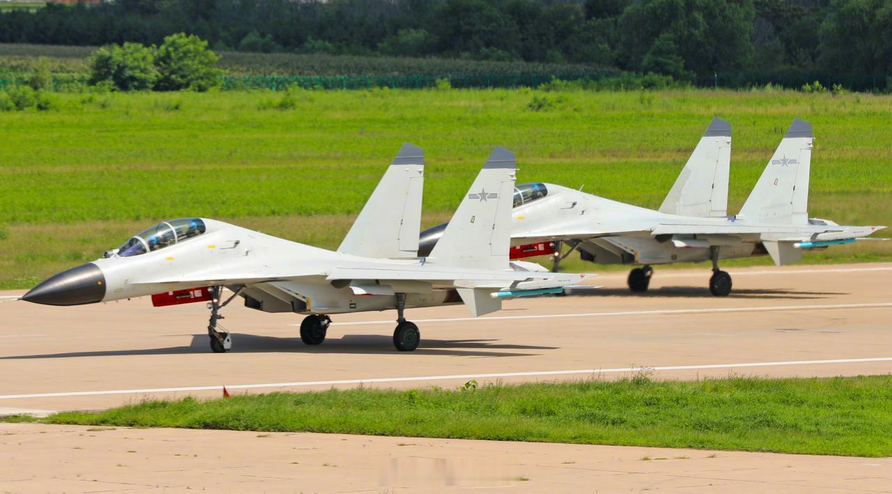 海军最后的岸基战斗机部队了，剩下的飞豹、苏-30MK2、轰-6J、歼-10H都已