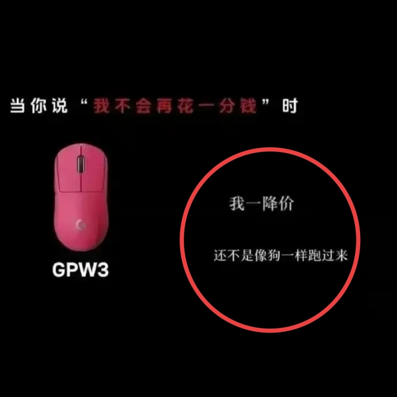 第一次见把客户比作狗的，哈哈哈艹，倒闭吧。罗技就侮辱性广告致歉