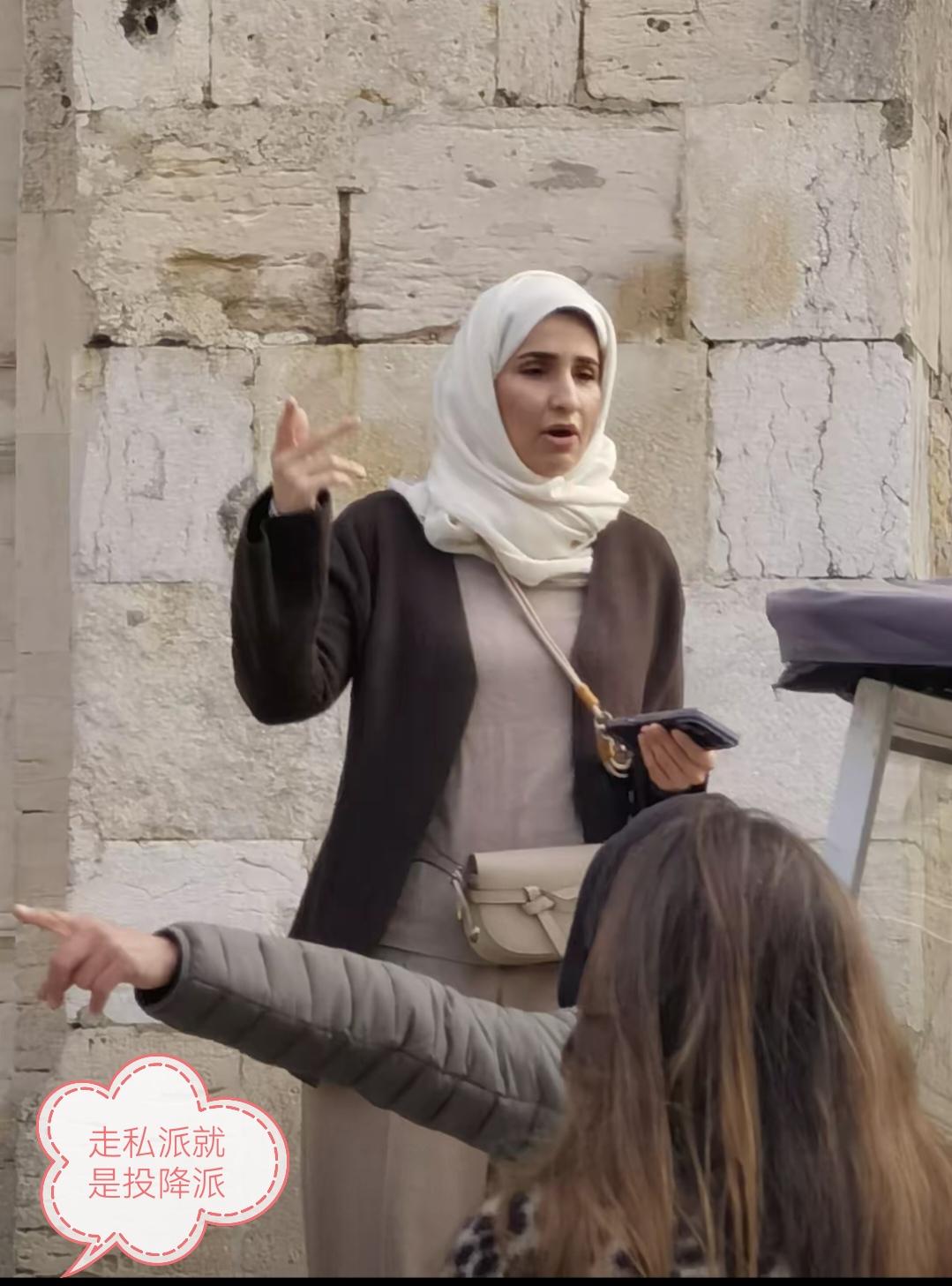 以前觉得“走资派就是投降派”这话太狠，甚至觉得有点扣帽子。现在看多了某些“社