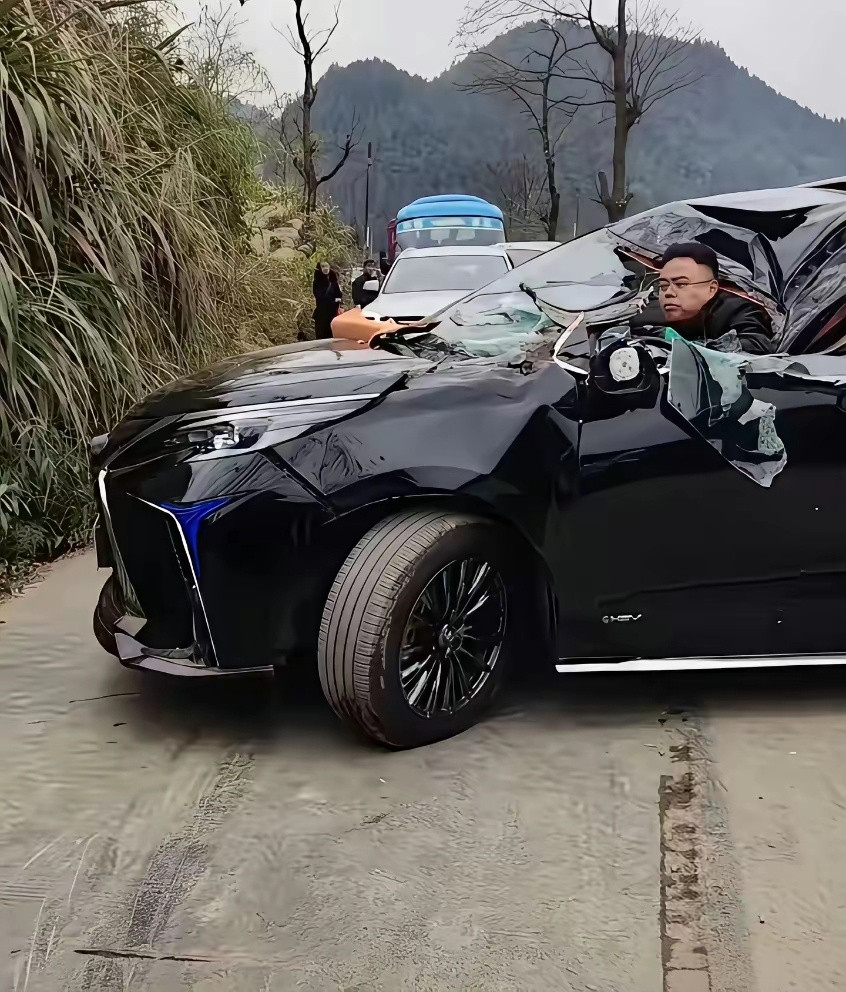 这个是真的吗？