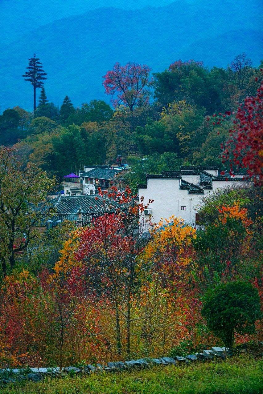高三的学习节奏着实辛苦。我还记得之前带过金陵中学河西分校的一个孩子，他在学校最好