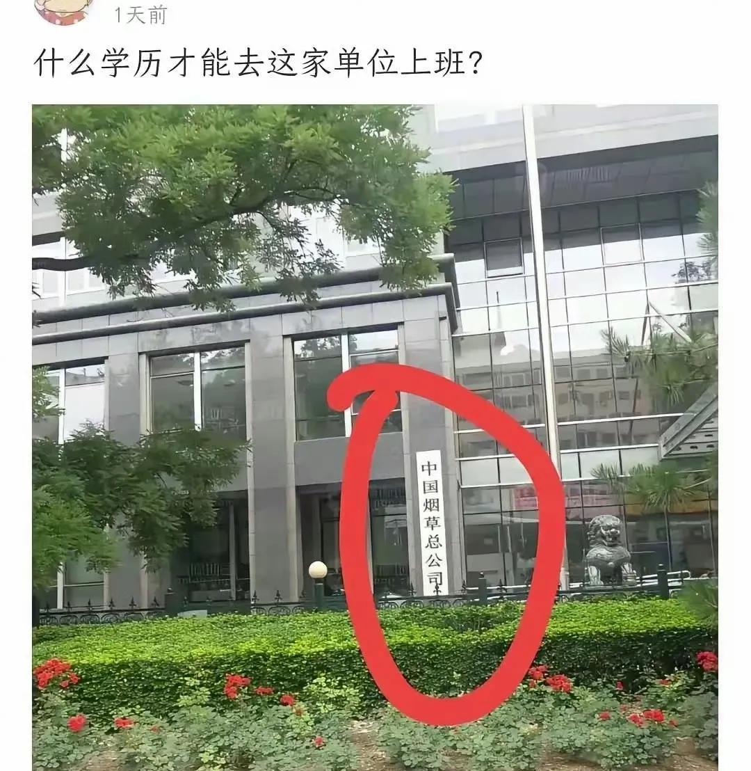 这样的公司不知道什么条件才能进去？