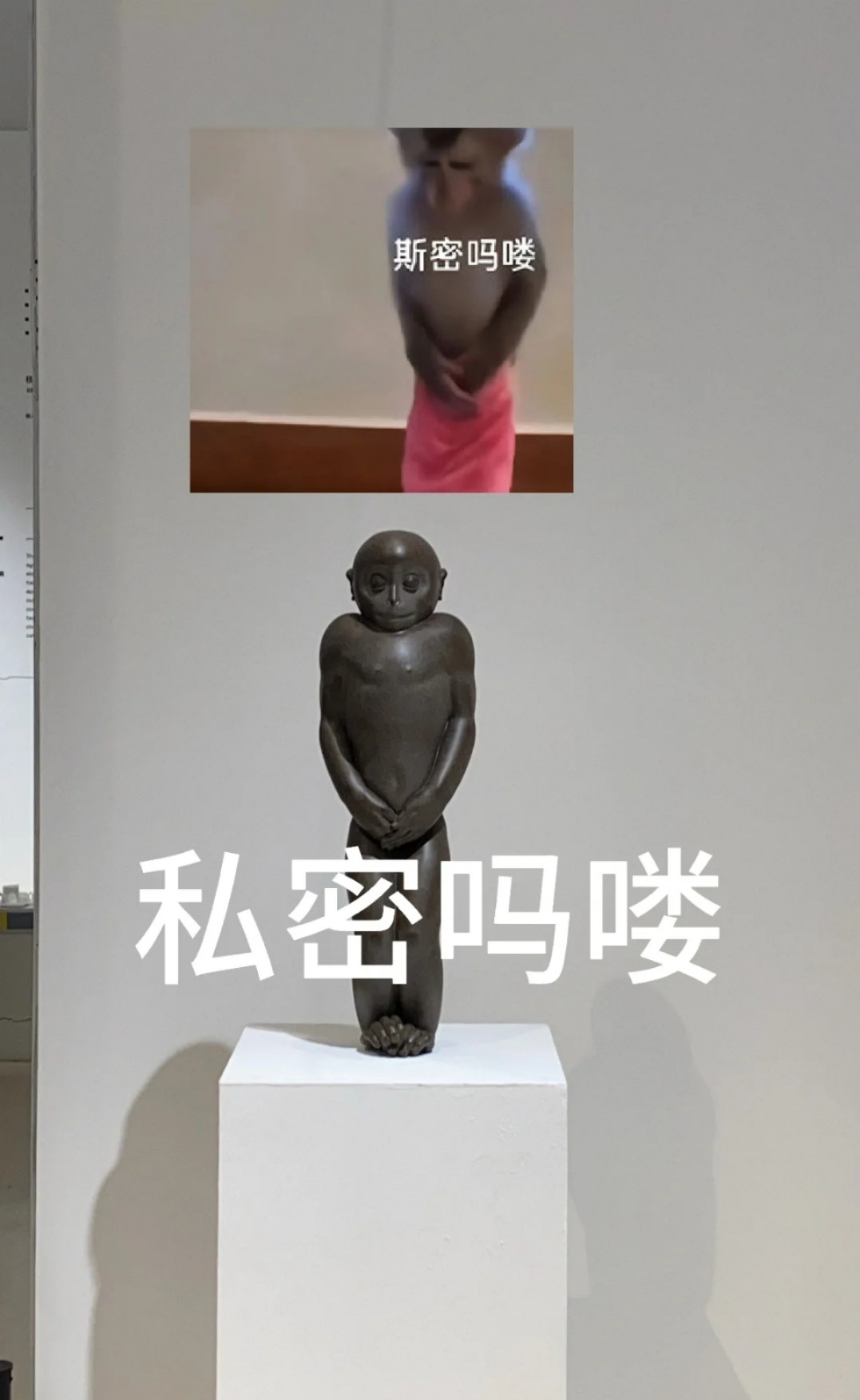 私密吗喽央美毕业展