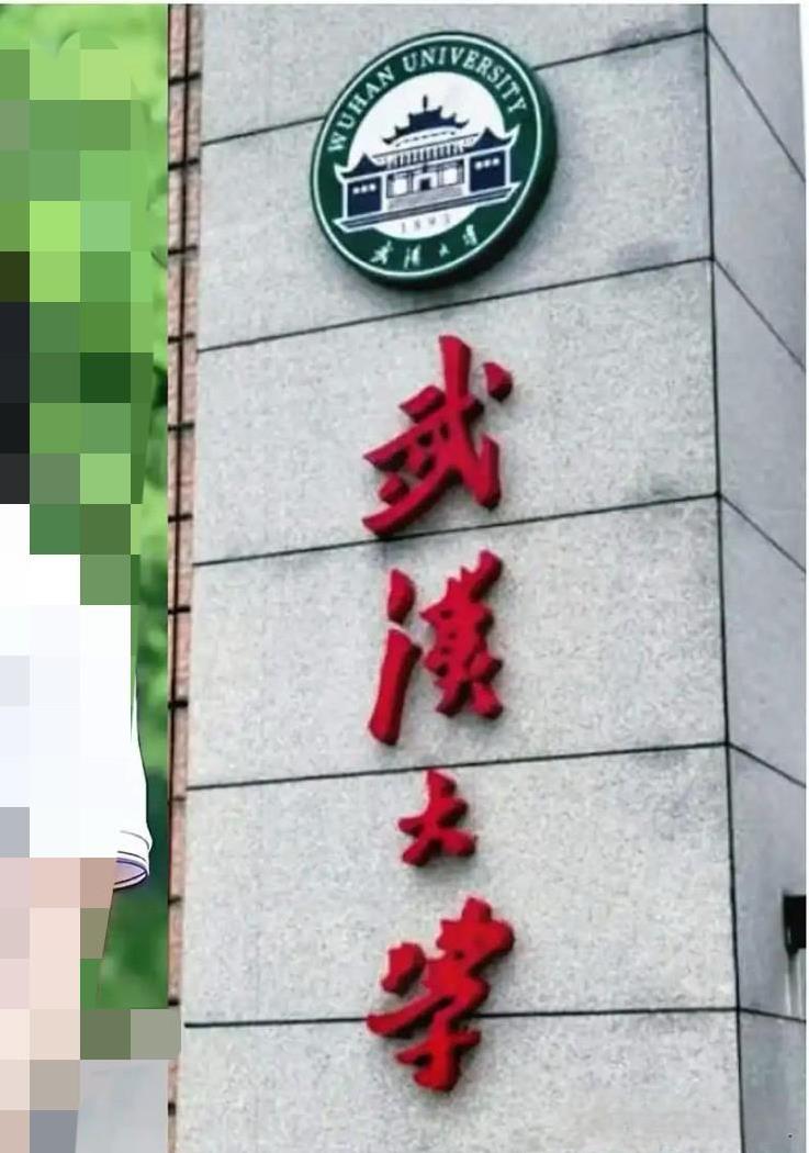 杨景媛太“深谋远虑了”。对付肖同学，杨景媛使用录像手段，坚持不懈地用手机在桌子