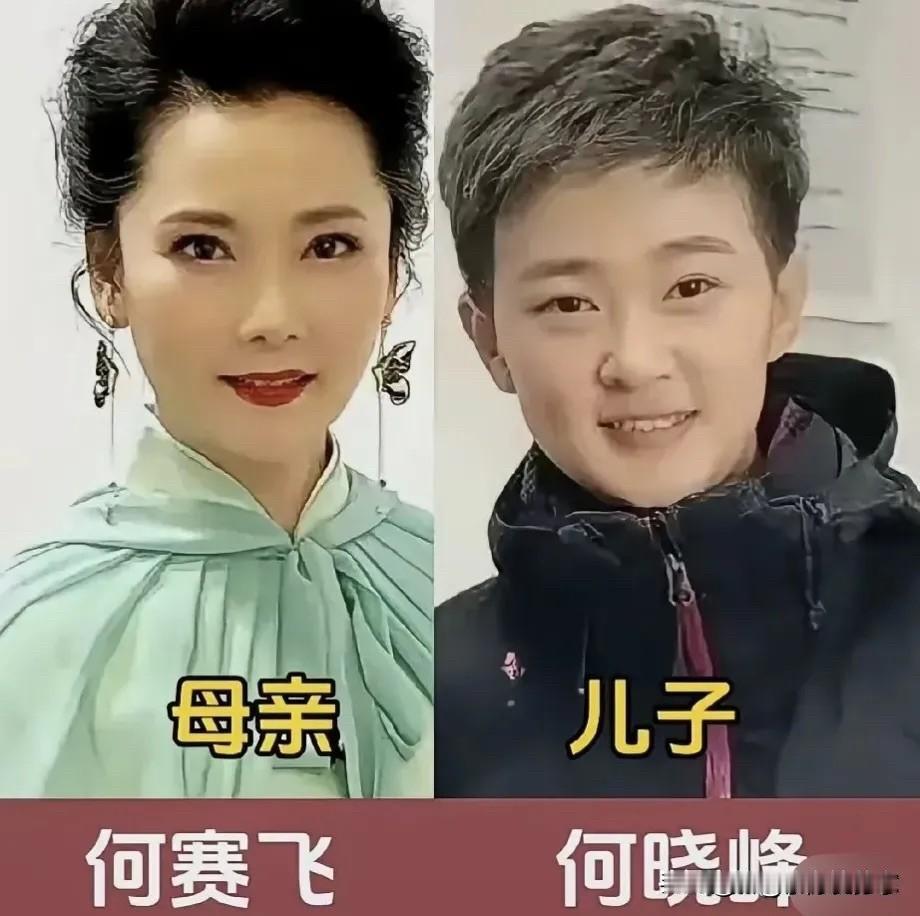 娱乐圈里藏着不少让人感慨的母子组合，基因的力量真的很奇妙，陈红、陈飞宇这一对很早