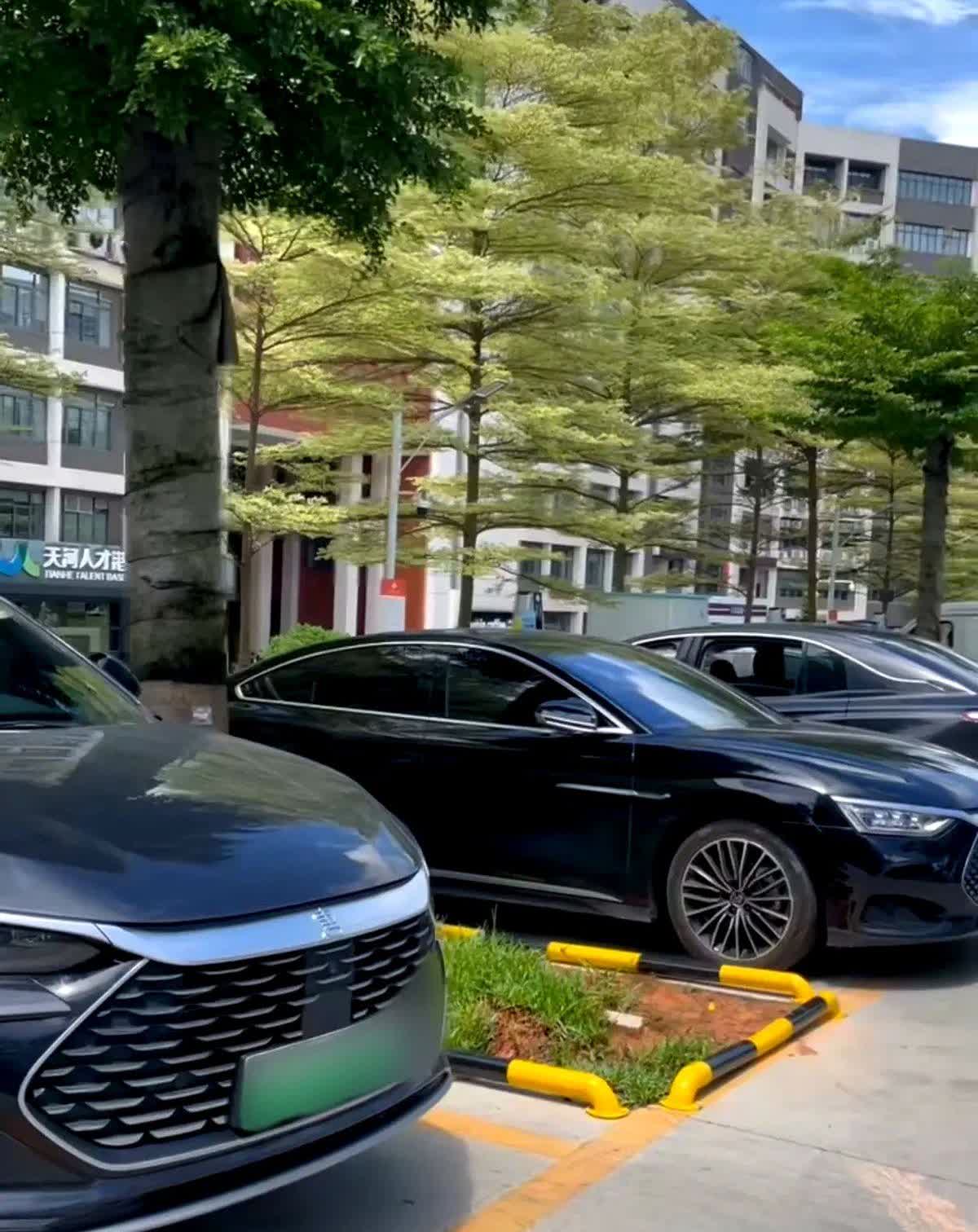 机关大院里停满比亚迪，合资车集体“下岗”——这不是简单的换车，而是一场被政策、技