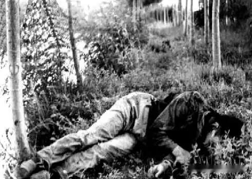 1983年，悍匪王宗坊遭击毙，倒地后他身形跟皮包骨似的，腹中没有任何食物，身上有