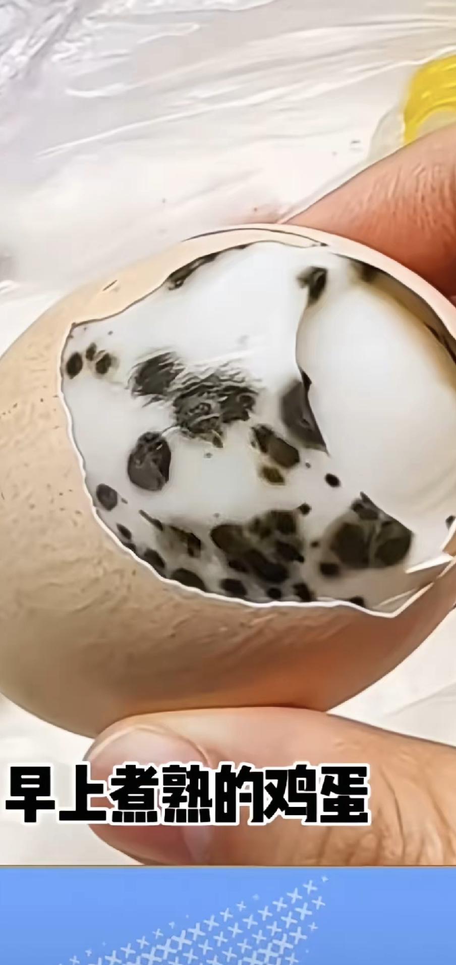 今天煮鸡蛋，剥开发现蛋黄上密密麻麻全是小黑点，不是边缘一圈灰绿，是真“长满”了，