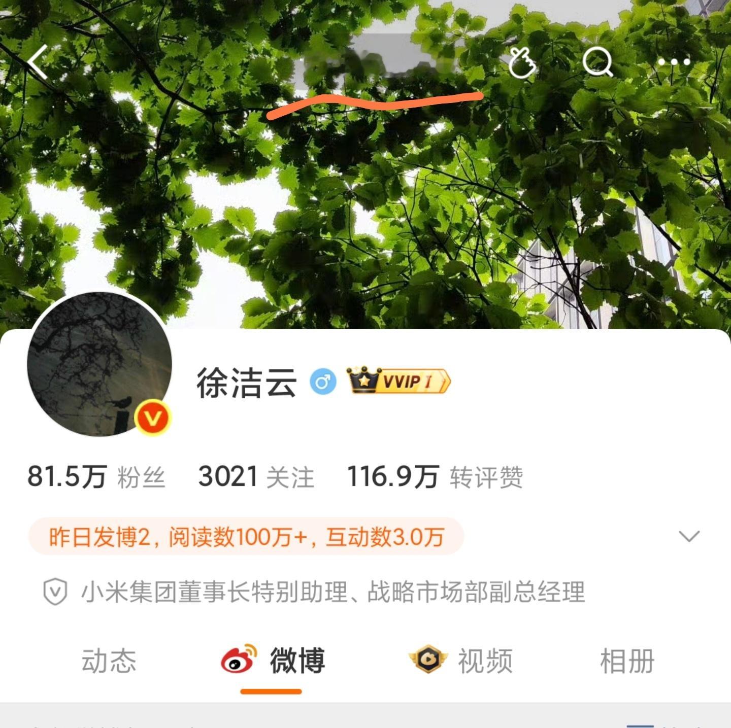看了下访问量，这就是高明之处！！！不然这些火力就全得雷总来扛。接下来小米澎程上市