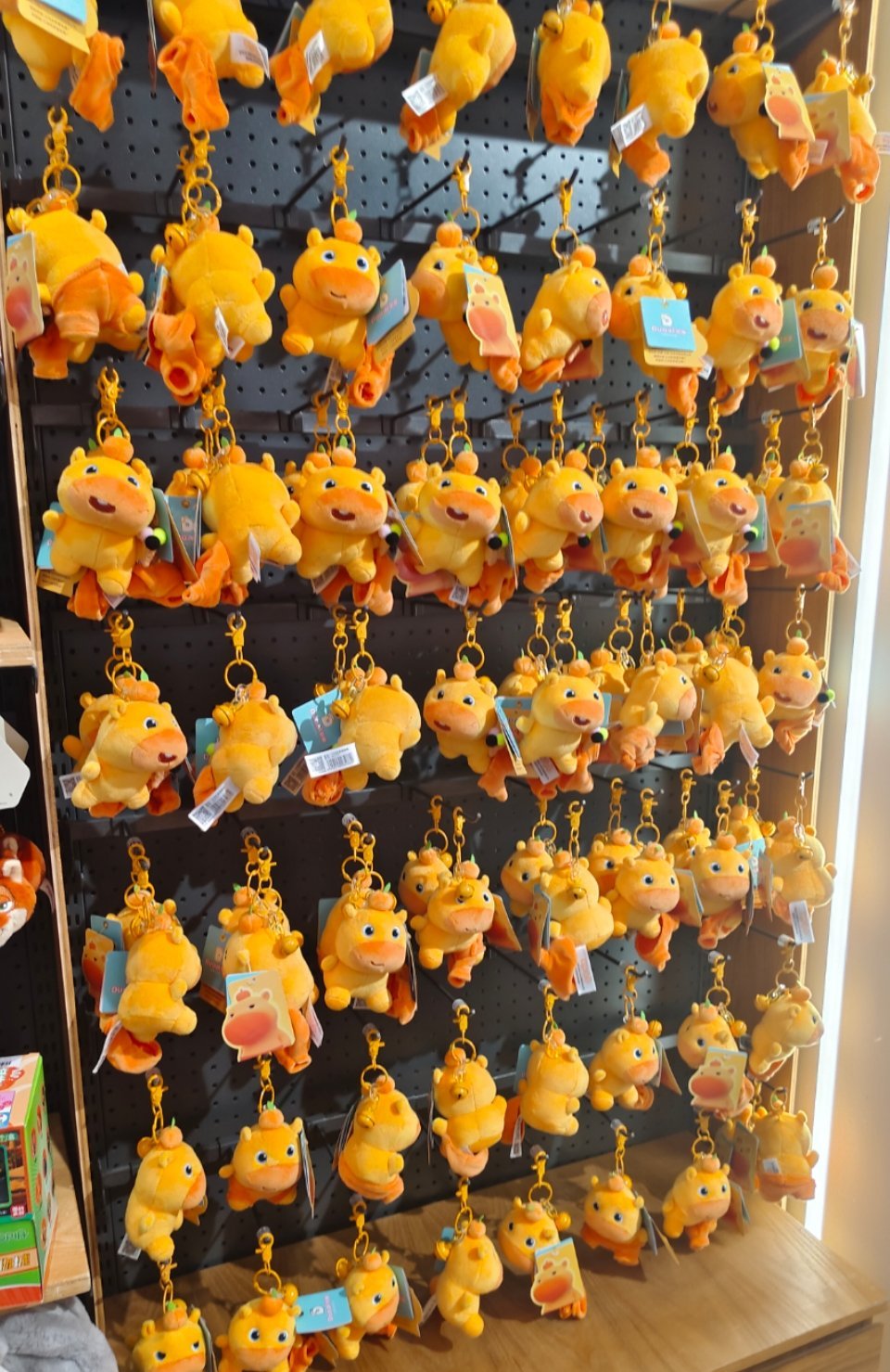 都不穿裤子羞羞