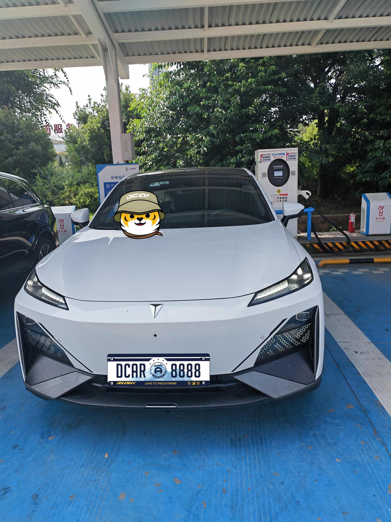 这个我有发言权