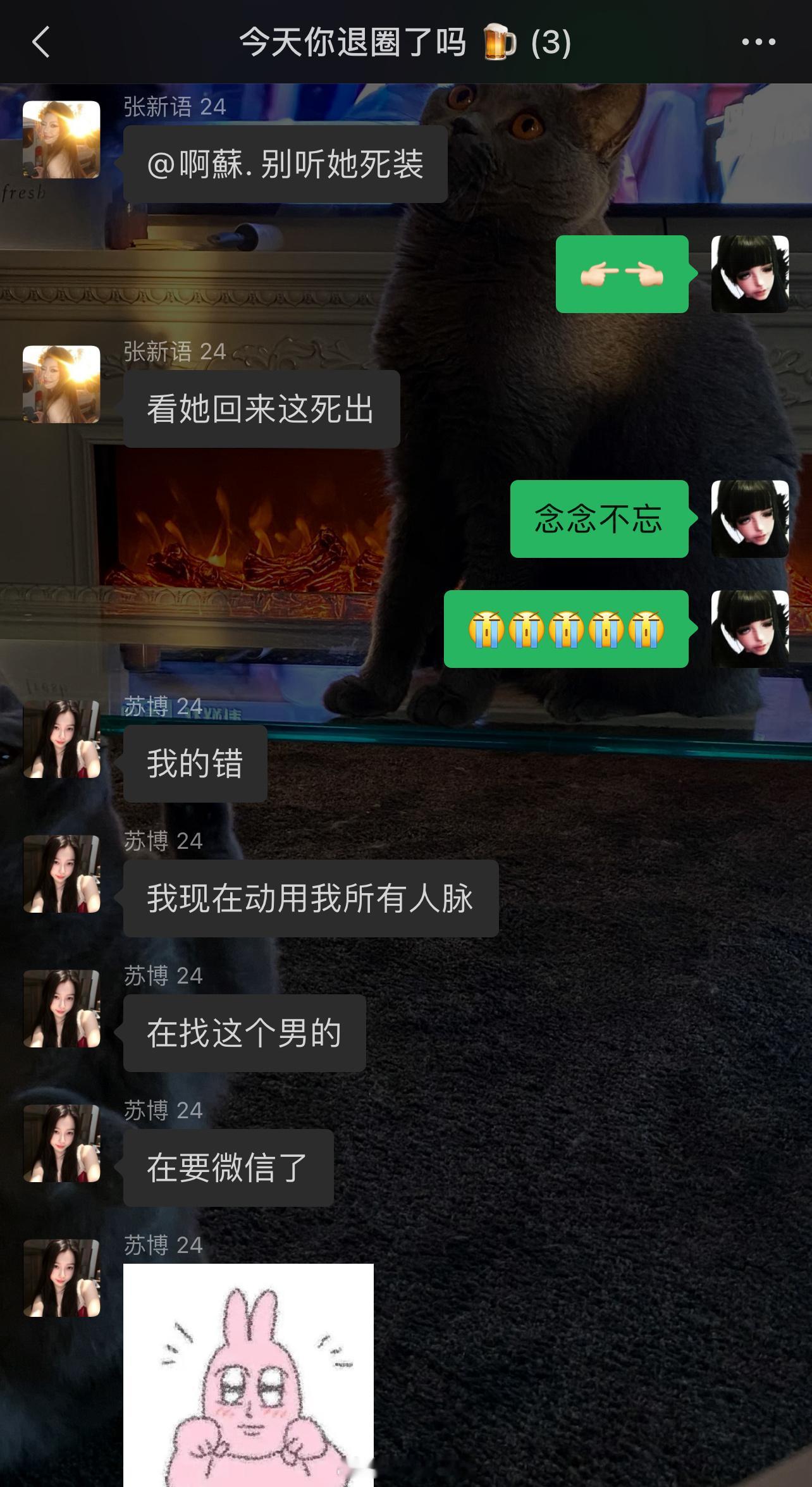 我有这么靠谱的龟龟进入中国​​​
