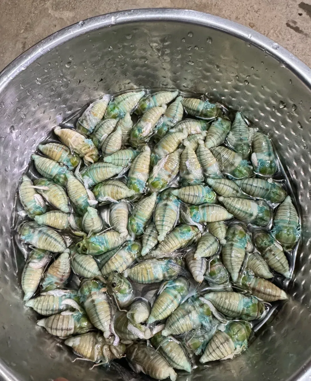 谁知道这是哪个地域的美食？名字是啥，看着就诱人