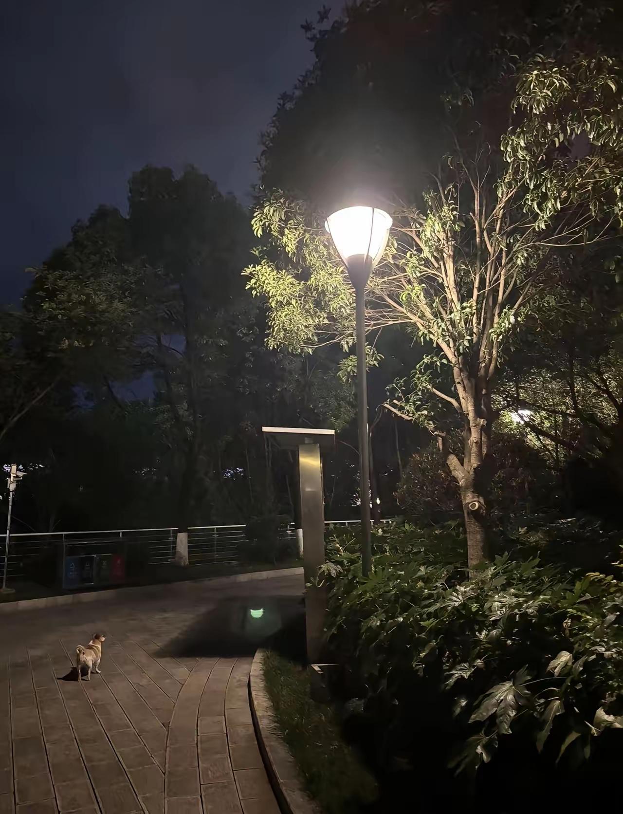 我不知道活着的意义是什么？完全不知道。一个三口之家，只剩我一个人。我才39岁，虽