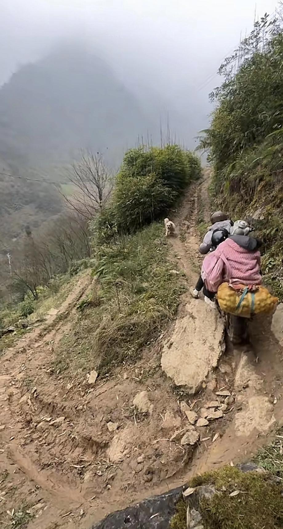 刚看了一个惊险视频，心惊肉跳，车技太牛了。云南山村路上，一对母女带着一大袋子洋芋