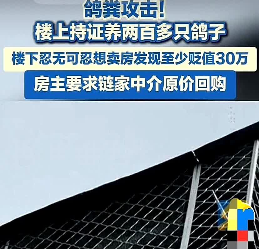 北京，男子2018年花235万买了一套房，入住后，发现顶楼有2个鸽舍，养了200