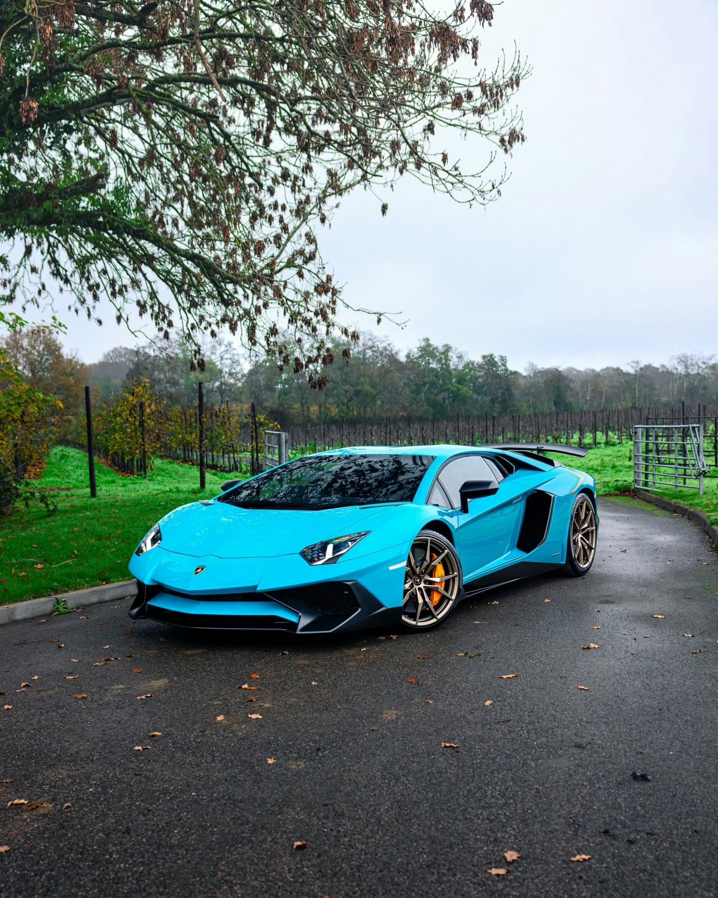 兰博基尼AventadorSV