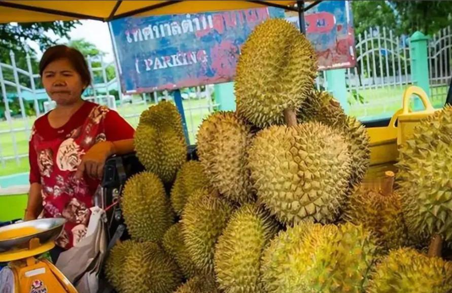 菲律宾又给中国甩锅！四万吨榴莲烂成堆，果农没钱赚，反倒问中国要赔偿？最近