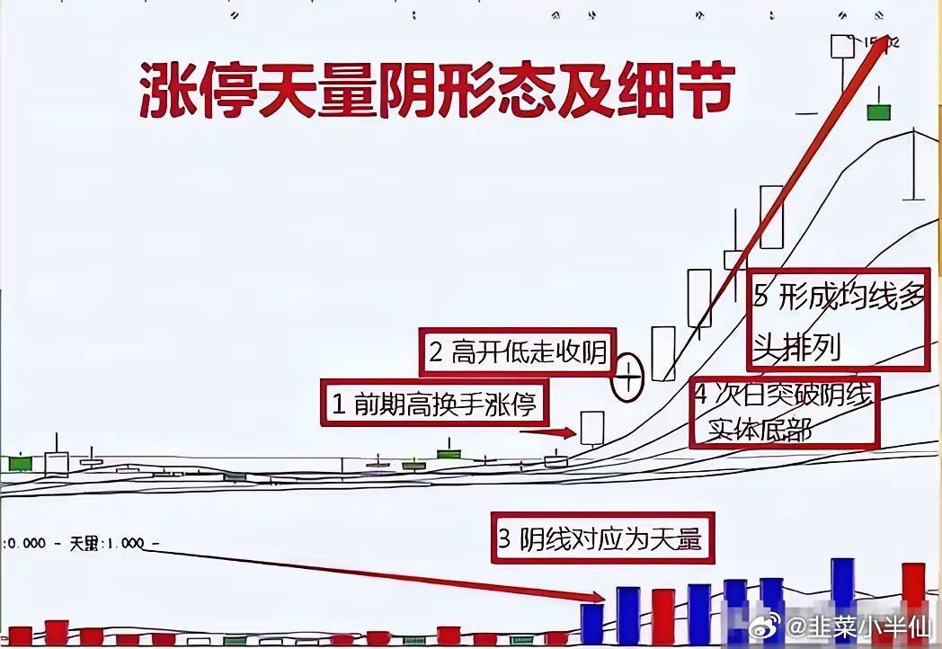 炒股十年，最后悔的不是亏钱，而是亏损后做的三件傻事。第一，死扛。明明买错了，总安