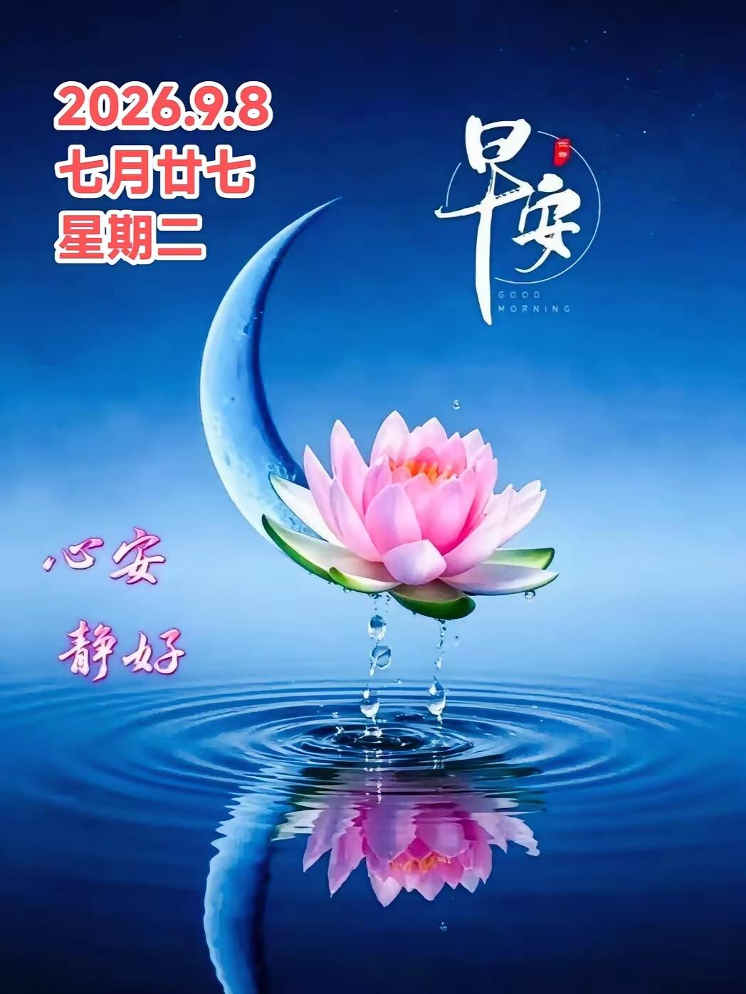 9.8日🌹🍎早上好🍎🌹晨光已至，祝福送上：愿我们福运绵延、时时皆安、越