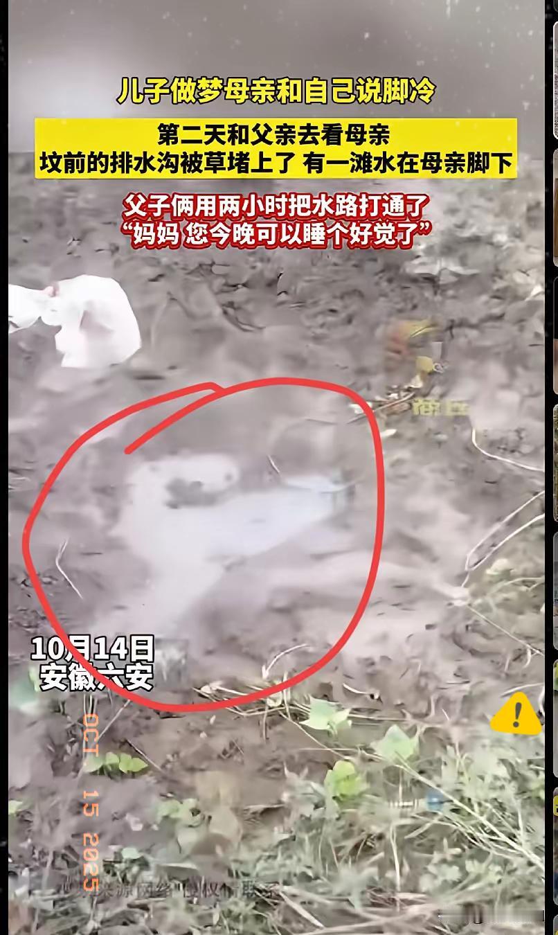 家人们谁懂啊！有些爱真的能跨越生死，连梦境都成了彼此牵挂的信号！安徽六安这对父子