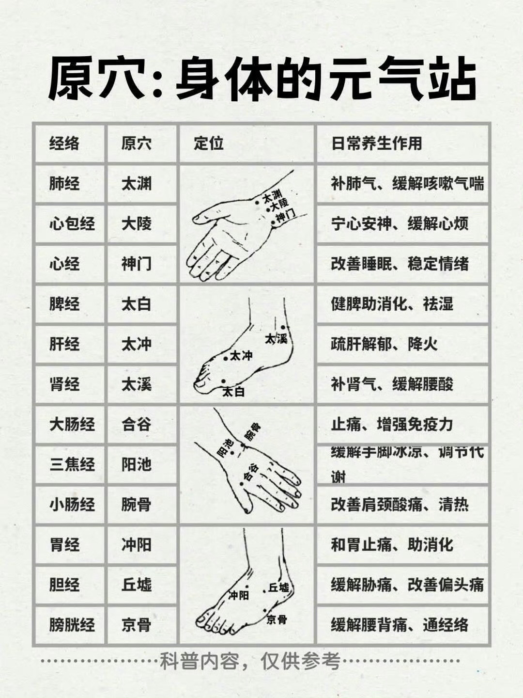 人体十二原穴的妙用！