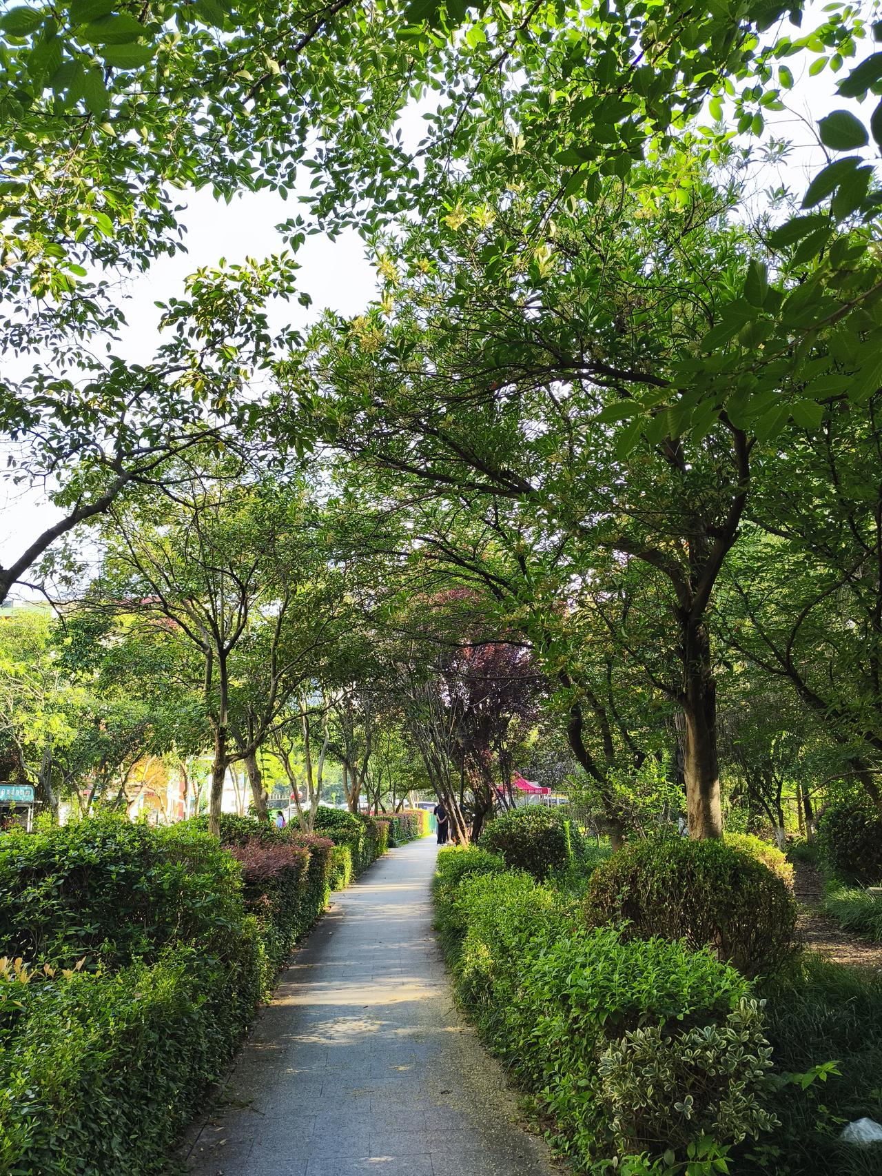南京这天气，简直像个大火炉，38°C以上的高温都快把人烤化了。南京市气象台还持续