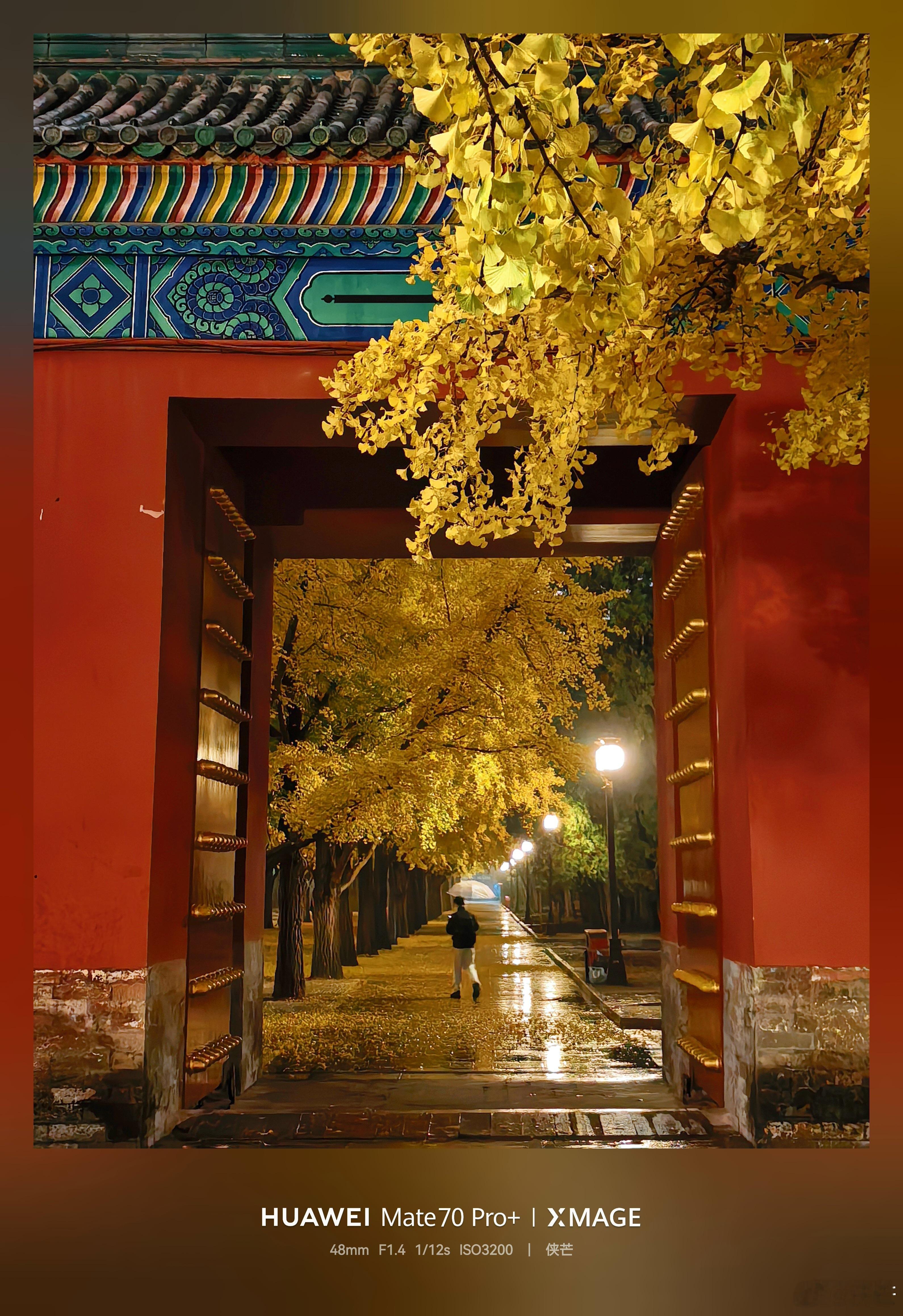 冬至雨夜，地坛公园静谧如诗。银杏叶落满小径，铺就一地金黄，湿漉漉的叶片在灯光下泛