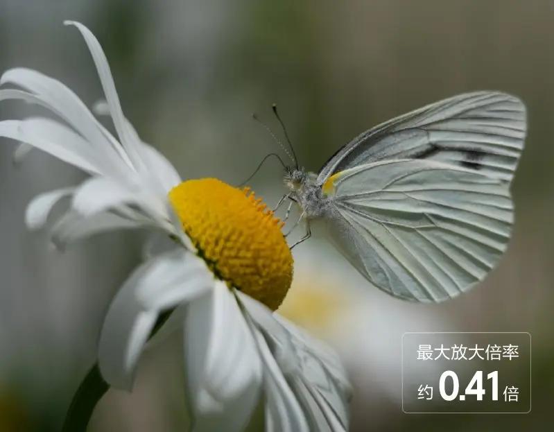 654克全幅长焦新手入门超远摄。想拍远处的山、飞鸟还有演出现场，又嫌专业长焦太