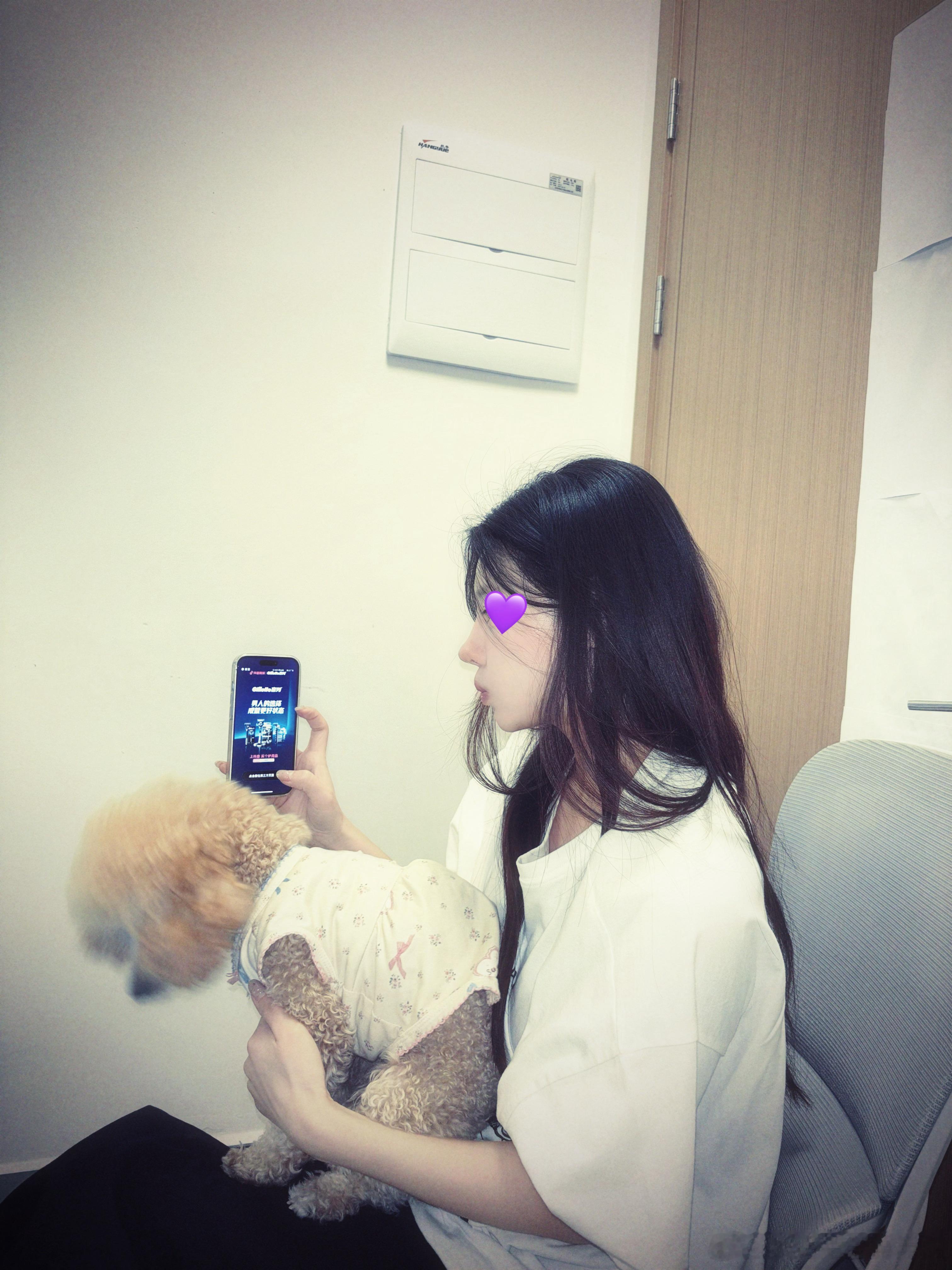 我要带着南方狗狗回北方啦狗狗第一次回河南