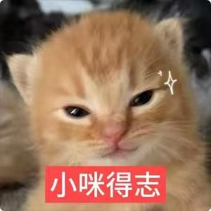 小咪得志ッ