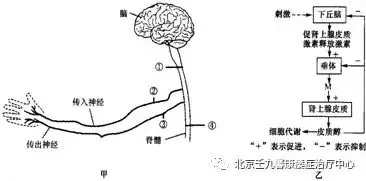 廖先生患共济失调治疗后成功康复
