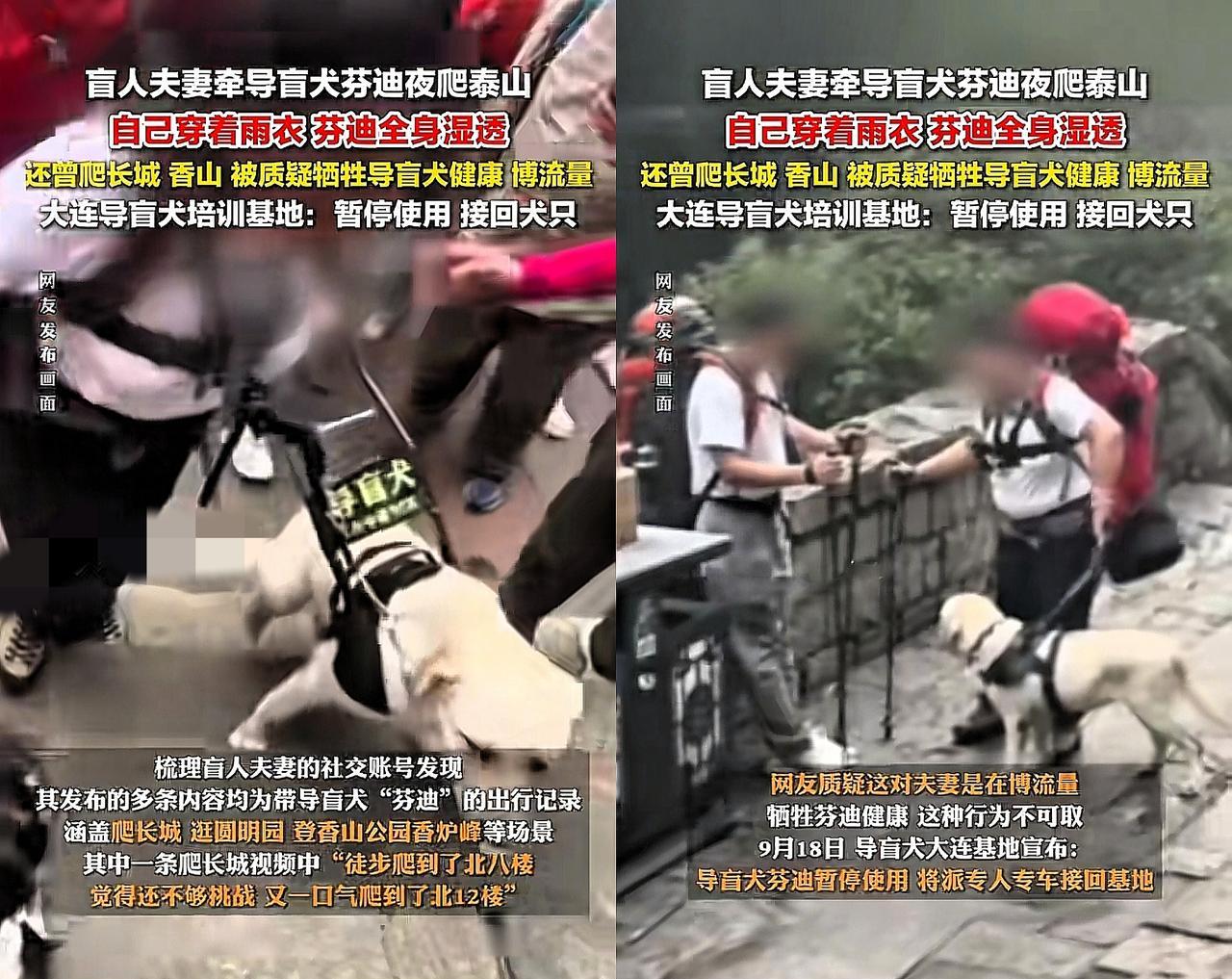 在泰山作死的盲人夫妻，又被网友挖出这些信息。北京那对爬泰山遭全网吐槽的盲人夫妻，